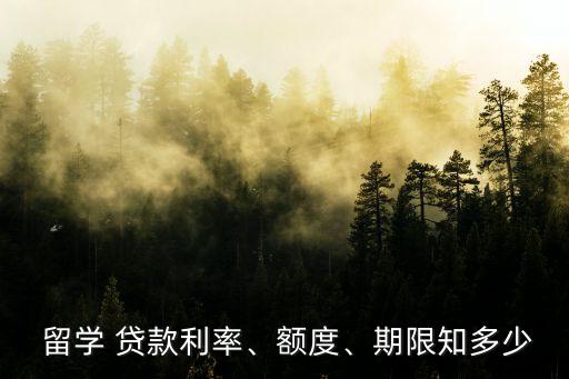 留學(xué)貸款可以貨多少,研究生留學(xué)貸款能貸多少