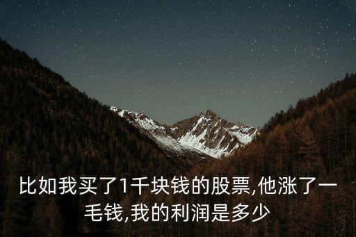 比如我買了1千塊錢的股票,他漲了一毛錢,我的利潤是多少