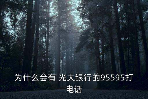 沈陽光大銀行的電話號碼多少錢,光大銀行網(wǎng)點查詢附近電話號碼