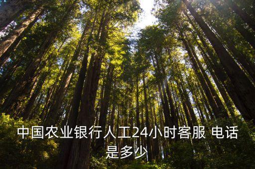 中國(guó)農(nóng)業(yè)銀行人工24小時(shí)客服 電話是多少