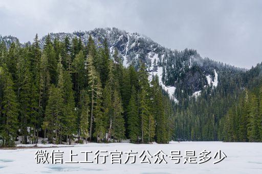 工商銀行微信號多少