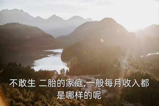 養(yǎng)育二胎需要年收入多少