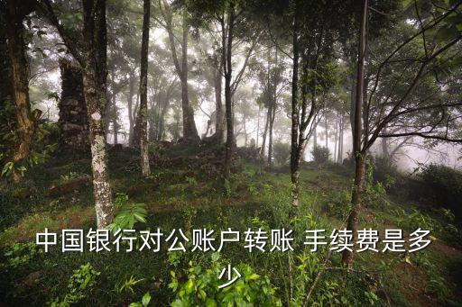 往中國(guó)銀行匯款手續(xù)費(fèi)是多少,中國(guó)銀行跨行匯款手續(xù)費(fèi)怎么收取