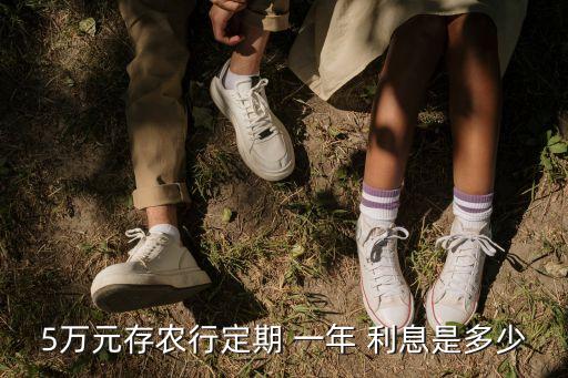 5萬(wàn)元存農(nóng)行定期 一年 利息是多少
