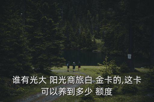 新版陽(yáng)光信用卡白金卡額度多少,光大信用卡陽(yáng)光商旅白金卡年費(fèi)