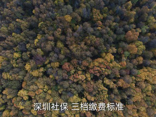 深圳醫(yī)療卡農(nóng)民工三檔一年多少錢(qián)