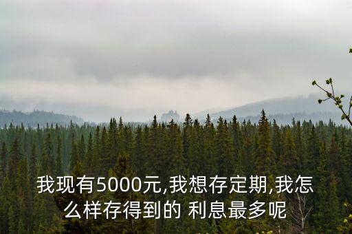 我現(xiàn)有5000元,我想存定期,我怎么樣存得到的 利息最多呢