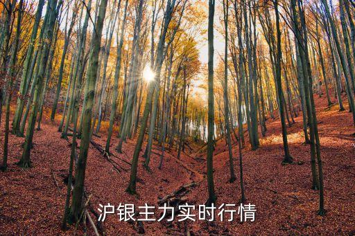 滬銀主力實(shí)時(shí)行情
