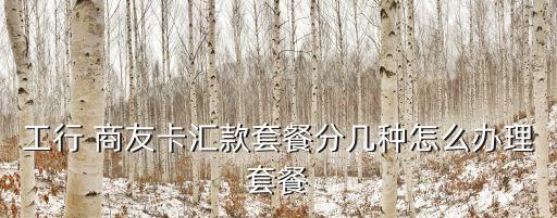 工商商友卡能透支多少