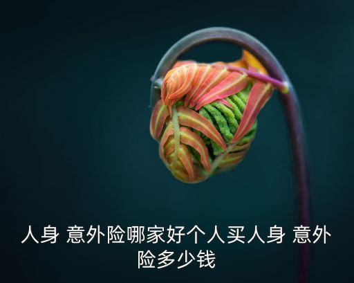 人身 意外險(xiǎn)哪家好個(gè)人買人身 意外險(xiǎn)多少錢