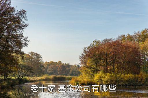 2014中國有多少證券投資基金,根據(jù)2014年公開募集證券投資基金