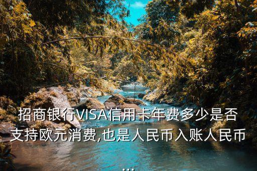招商銀行VISA信用卡年費(fèi)多少是否支持歐元消費(fèi),也是人民幣入賬人民幣...