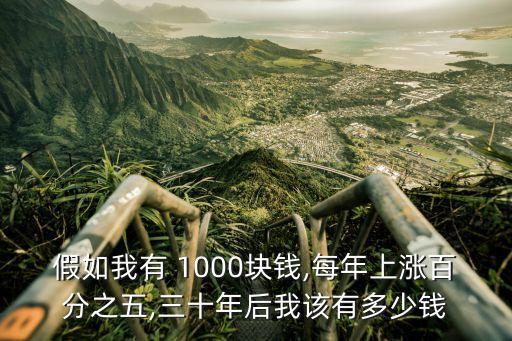 假如我有 1000塊錢,每年上漲百分之五,三十年后我該有多少錢