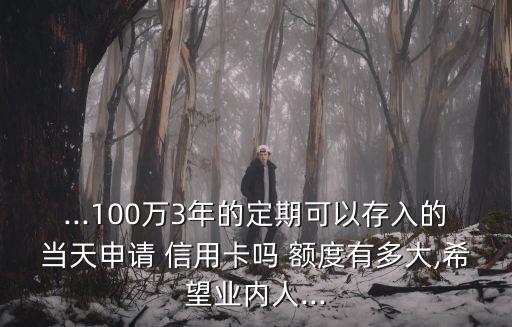 ...100萬3年的定期可以存入的當(dāng)天申請 信用卡嗎 額度有多大,希望業(yè)內(nèi)人...