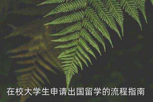 在校大學(xué)生申請出國留學(xué)的流程指南