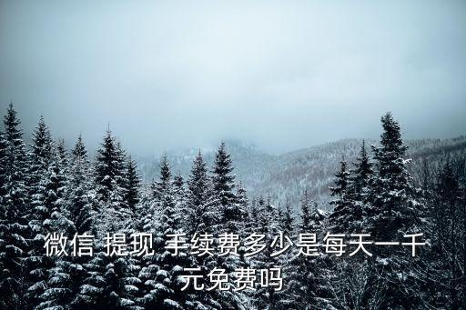  微信 提現(xiàn) 手續(xù)費(fèi)多少是每天一千元免費(fèi)嗎