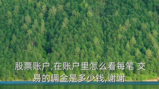  股票賬戶,在賬戶里怎么看每筆 交易的傭金是多少錢,謝謝