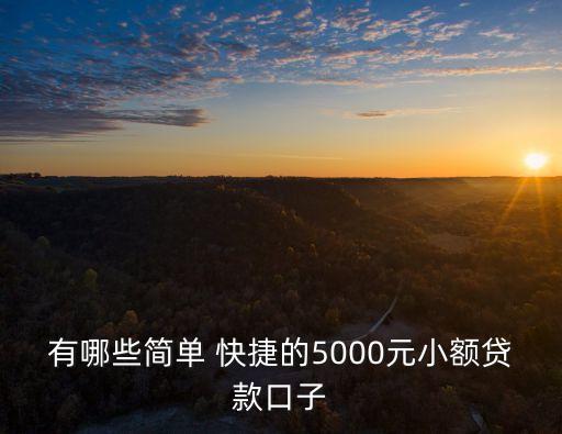 有哪些簡(jiǎn)單 快捷的5000元小額貸款口子