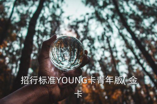 招行粉絲金卡多少額度,招行青年young黑色金卡額度