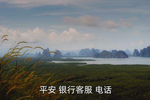 ?？谄桨层y行電話多少,平安銀行海口分行營業(yè)部