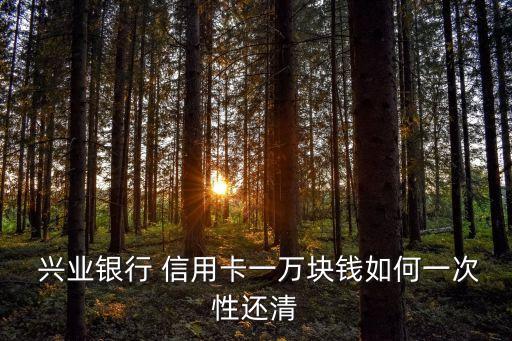 怎么還興業(yè)信用卡額度多少,兩張興業(yè)信用卡額度是共享的嗎