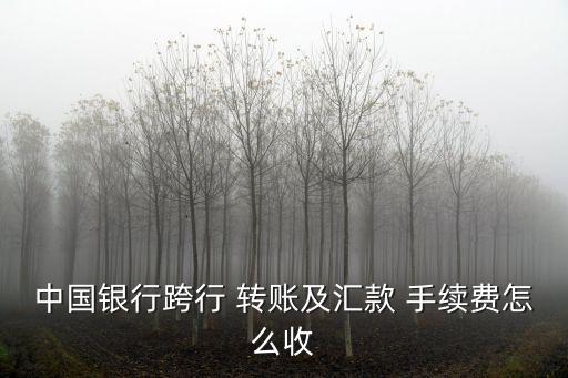 中國(guó)銀行跨行 轉(zhuǎn)賬及匯款 手續(xù)費(fèi)怎么收