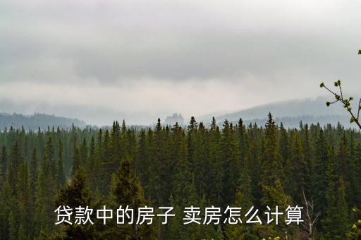 貸款中的房子 賣房怎么計(jì)算