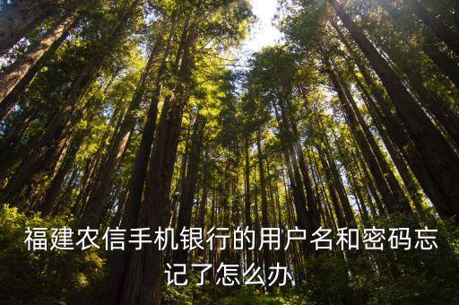 福建農(nóng)商客服電話是多少
