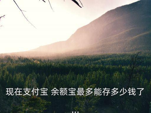 余額寶有最高限額多少錢,用余額寶支付一天最高限額是多少