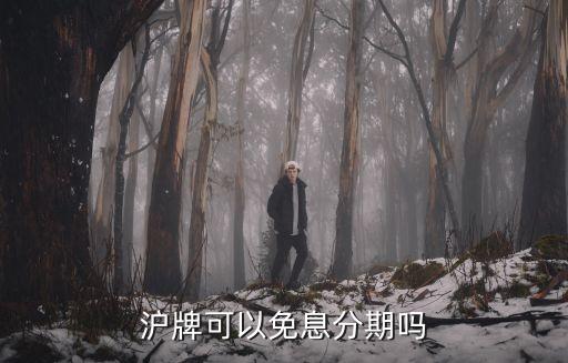 滬牌可以免息分期嗎