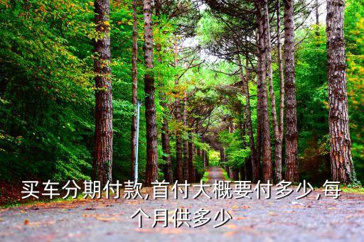 買車分期付款,首付大概要付多少,每個(gè)月供多少
