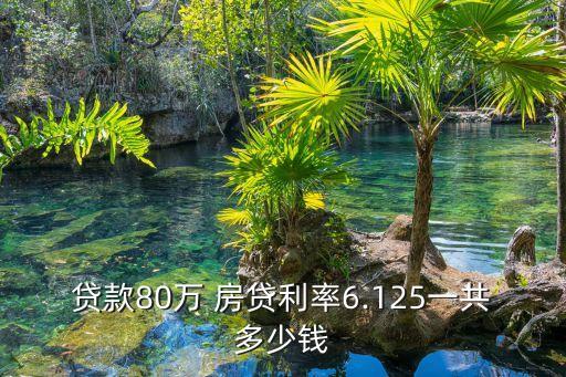 貸款80萬 房貸利率6.125一共多少錢