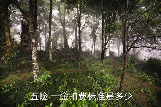  五險 一金扣費標準是多少