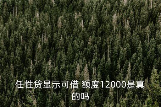 任你貸多少額度能搶,龍卡貸吧額度一般多少