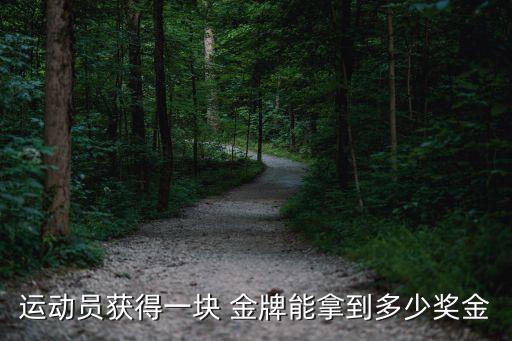 運(yùn)動(dòng)員獲得一塊 金牌能拿到多少獎(jiǎng)金
