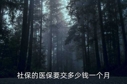醫(yī)療卡每個(gè)月扣多少錢,養(yǎng)老醫(yī)療每個(gè)月多少號(hào)扣