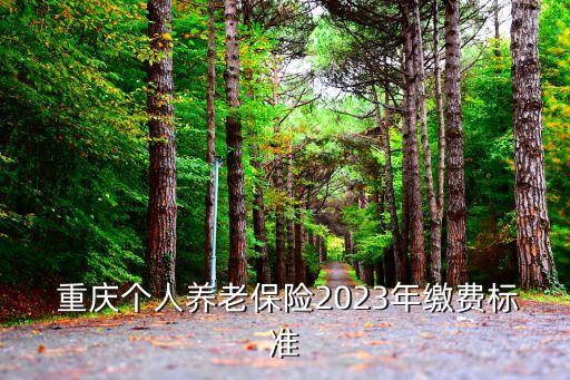  重慶個(gè)人養(yǎng)老保險(xiǎn)2023年繳費(fèi)標(biāo)準(zhǔn)