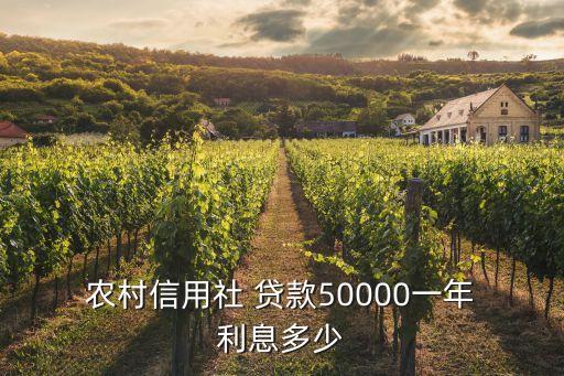  農村信用社 貸款50000一年 利息多少