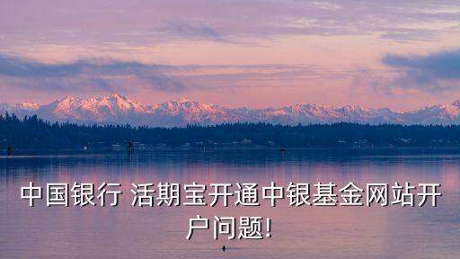 活期寶有手續(xù)費(fèi)多少錢,中銀活期寶手續(xù)費(fèi)怎么算