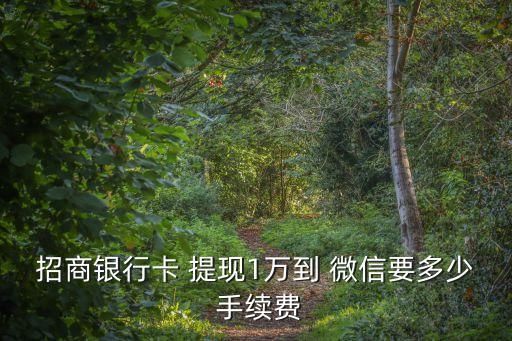 招商銀行卡 提現(xiàn)1萬到 微信要多少 手續(xù)費