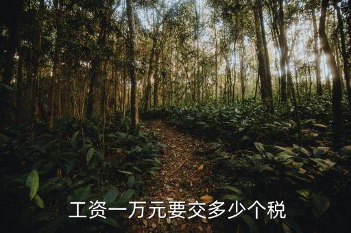  工資一萬元要交多少個稅