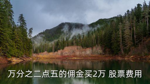 萬分之二點(diǎn)五的傭金買2萬 股票費(fèi)用