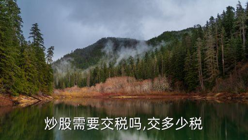 股票交易稅率是多少錢,印花稅股票交易稅率