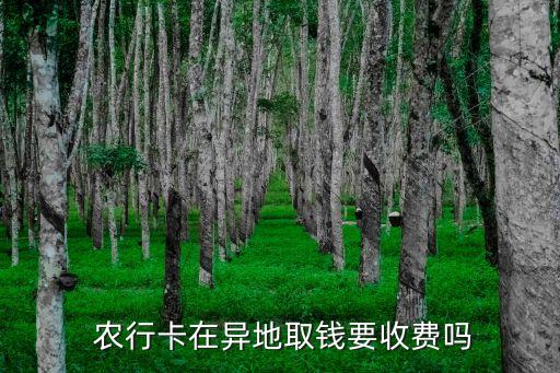 農(nóng)行在日本取現(xiàn)手續(xù)費(fèi)是多少,日本ATM取現(xiàn)手續(xù)費(fèi)