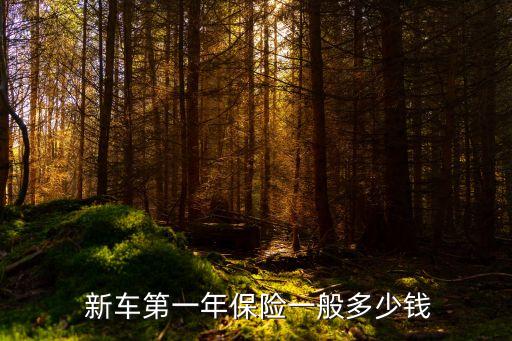 新車要多少錢保險,新車保險第一年一般多少錢