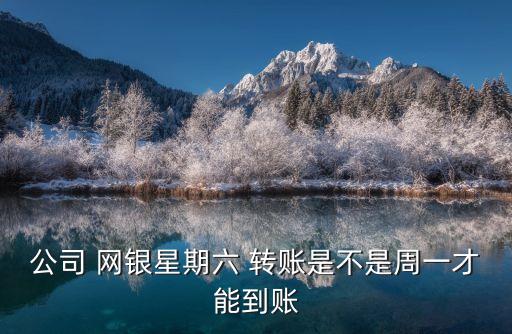 公司 網(wǎng)銀星期六 轉(zhuǎn)賬是不是周一才能到賬