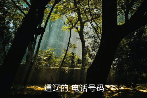  通遼的 電話號碼