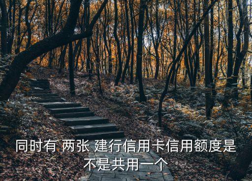建行兩張卡征信多少賬戶