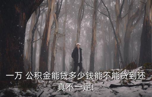 公積金每萬(wàn)元貸多少,武漢公積金25000可以貸多少萬(wàn)元