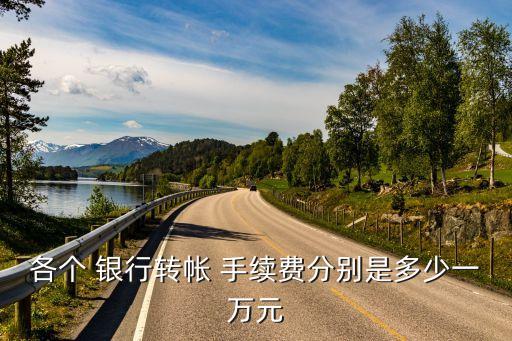 各個 銀行轉(zhuǎn)帳 手續(xù)費分別是多少一萬元